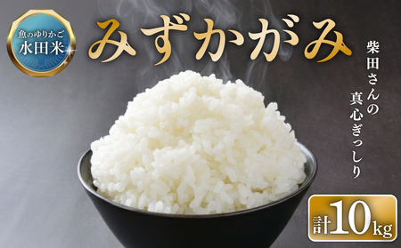 【令和7年産】減農薬米 近江米 みずかがみ 白米 10kg ［shiba03] 白米