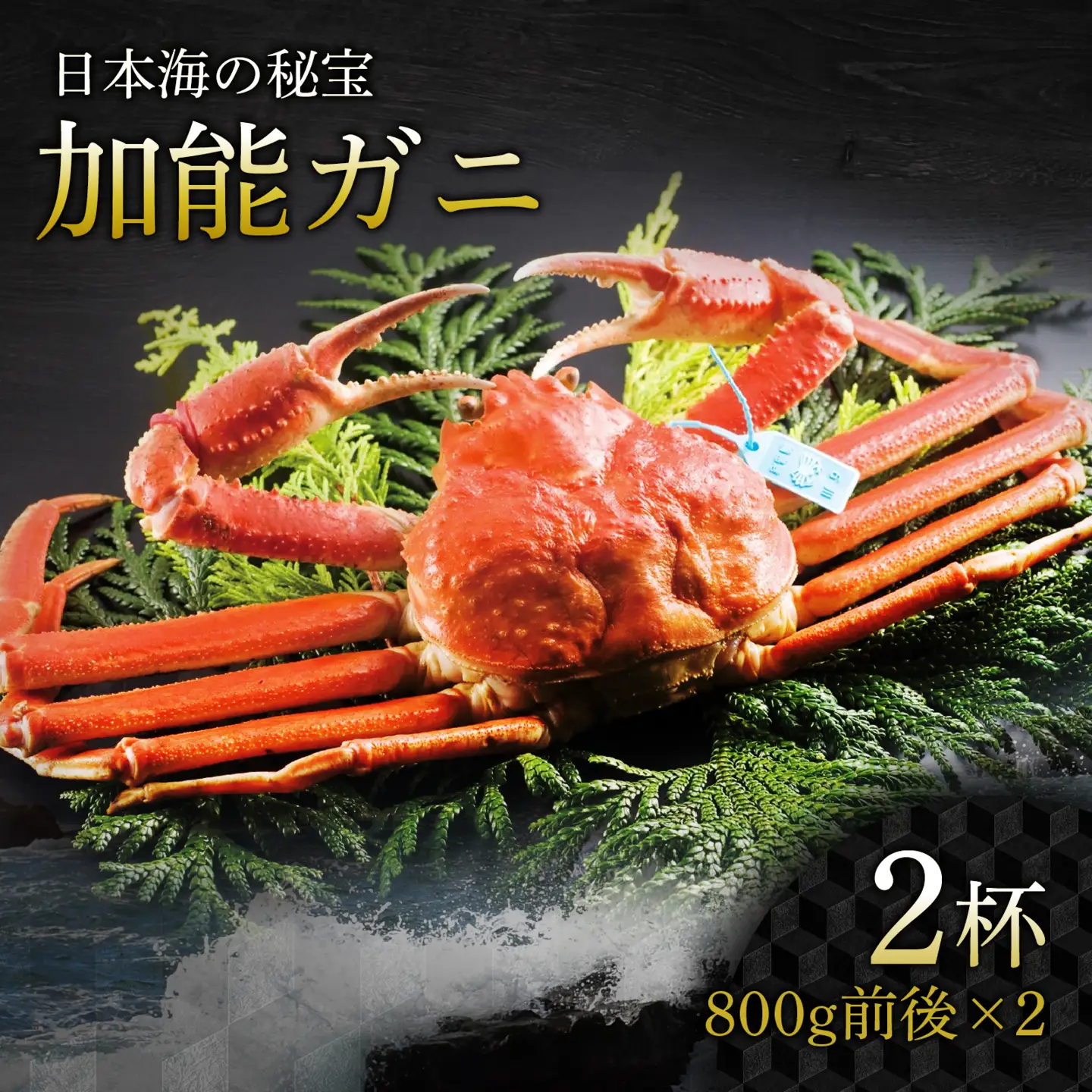 加能ガニ 800g前後 × 2杯 計1.6kg | ズワイガニ かに