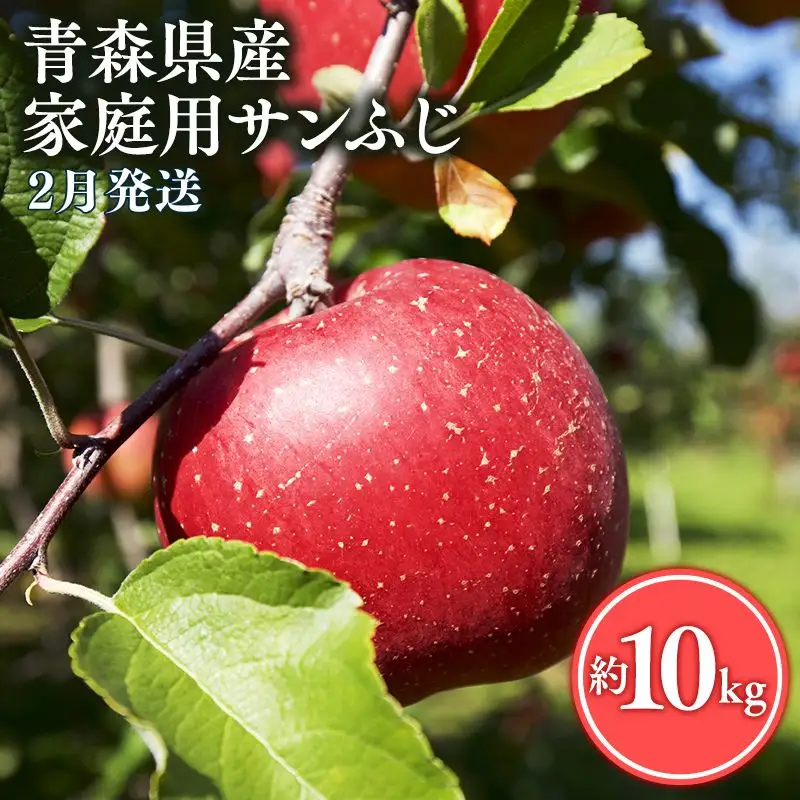 りんご 家庭用サンふじ10kg りんご