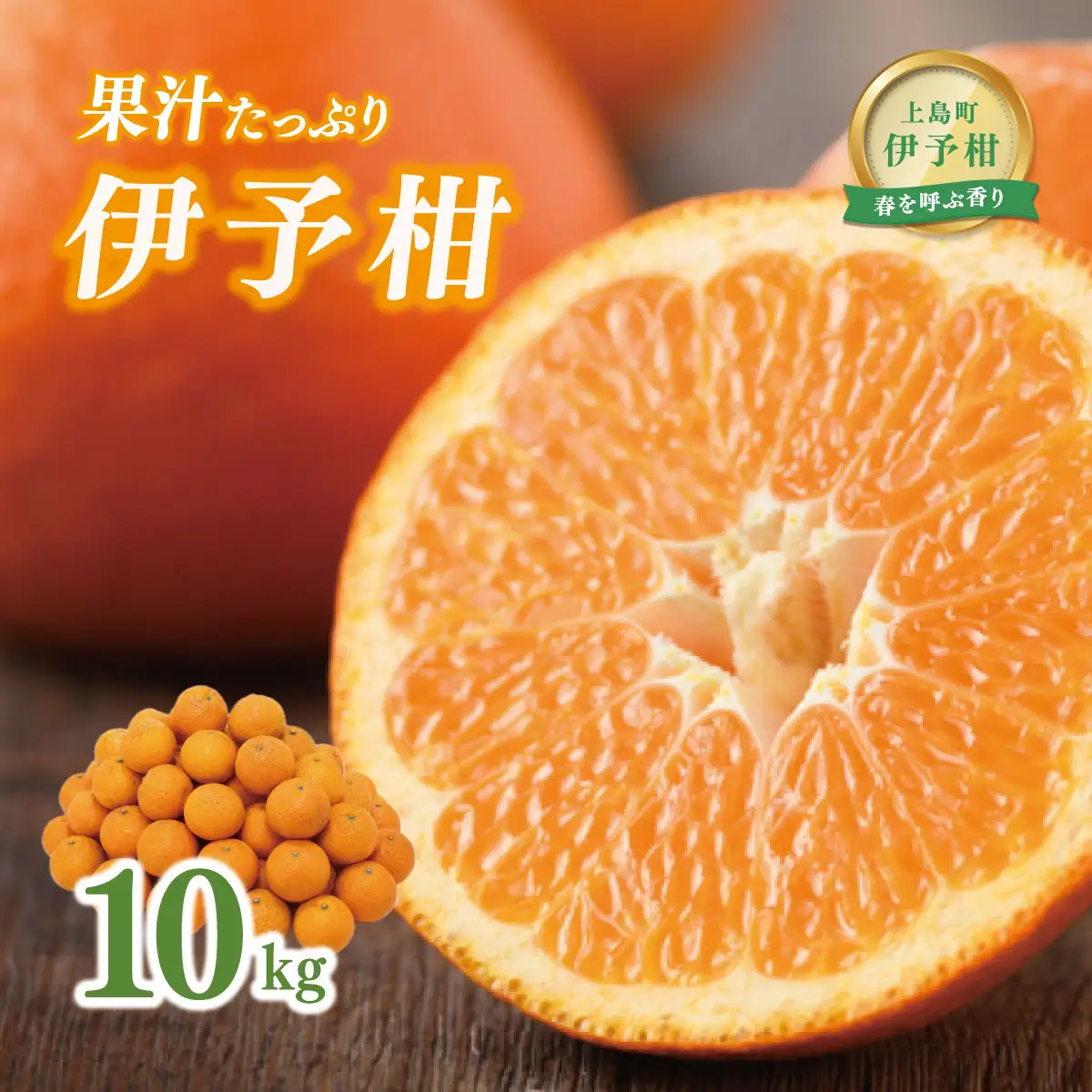 【先行受付】愛媛県産 伊予柑 10kg 2L～L みかん いよかん