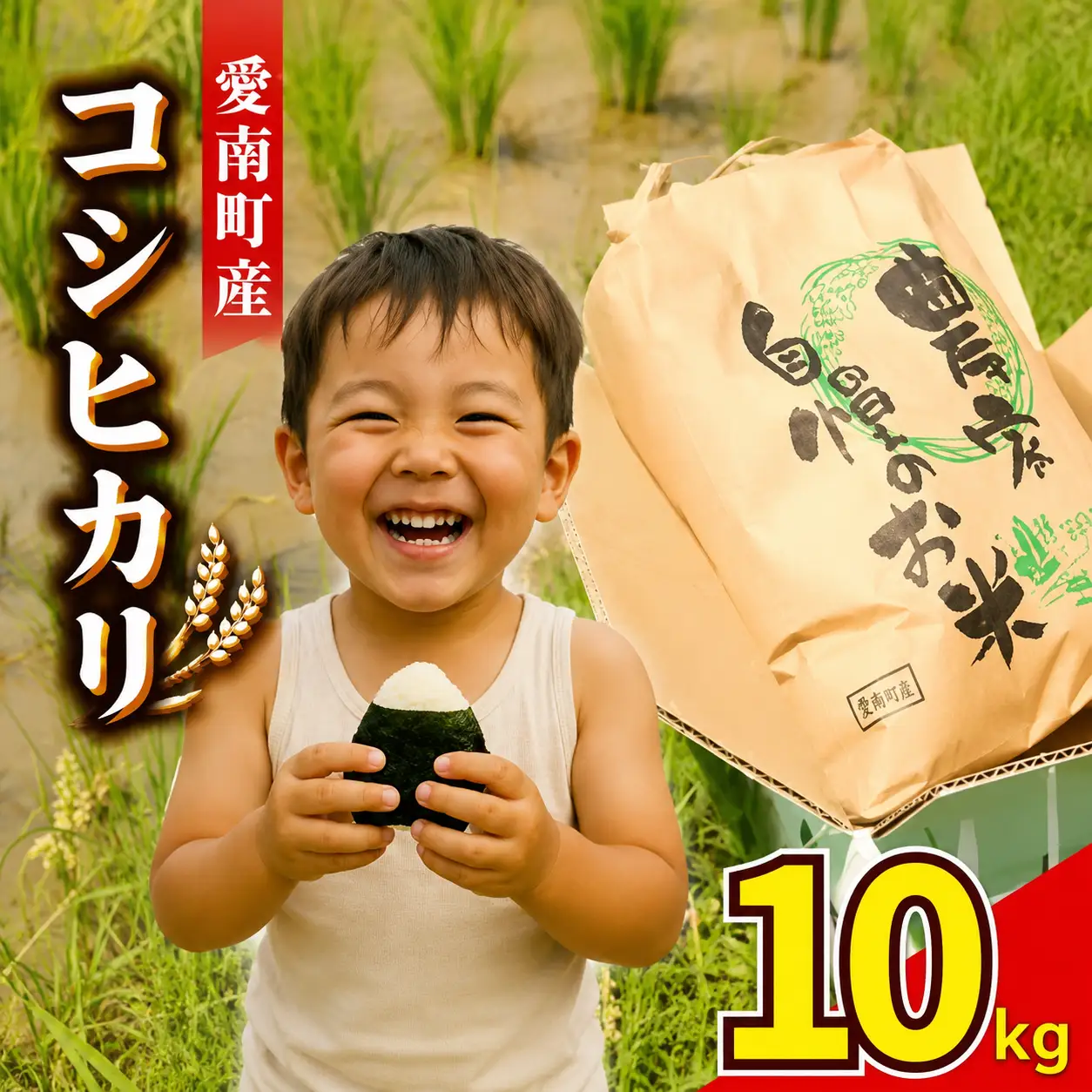 【 令和8年産 】 新米 コシヒカリ 10kg  精米 白米 和家農園