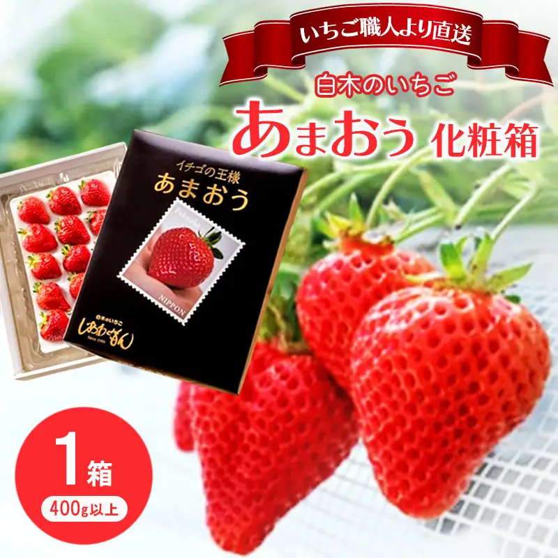 あまおう いちご しあわせもん 白木のいちご 福岡県産 あまおう【化粧箱1箱】【1月配送】