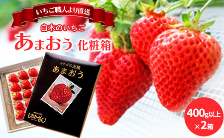 あまおう いちご しあわせもん 白木のいちご 福岡県産 あまおう【化粧箱2箱】【1月配送】