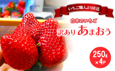 あまおう いちご 白木のいちご ふぞろい 福岡県産 あまおう【250g×4P】【訳あり】