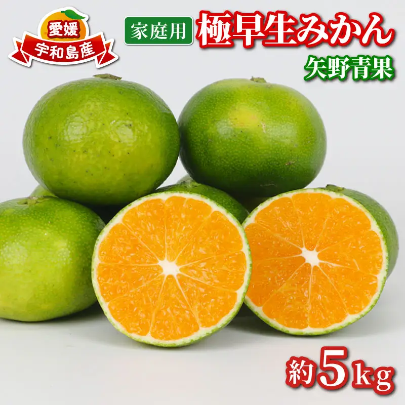 家庭用 極早生 みかん 5kg 矢野青果 温州みかん 果物 くだもの フルーツ 柑橘 蜜柑 愛媛蜜柑 愛媛みかん 愛媛ミカン mikan 産地直送 数量限定 国産 愛媛 宇和島 B012-171023