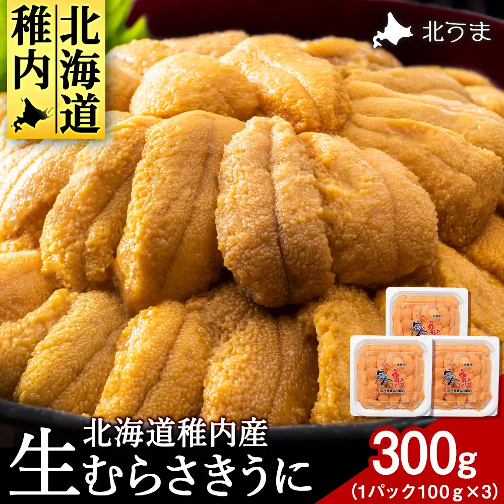 【うにの名産地稚内市】最北端の生むらさきうに(100gパック×3) うに ウニ ムラサキウニ