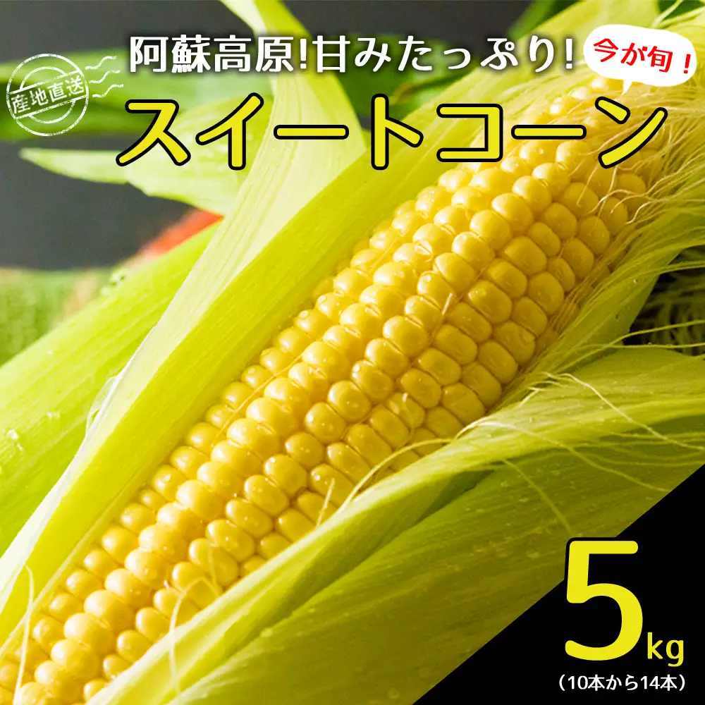 産地直送！ みんな大好きスイートコーン5kg～ふるさとセット～