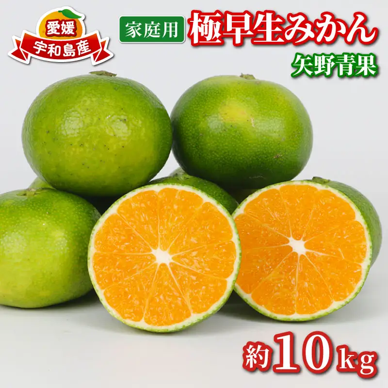 家庭用 極早生 みかん 10kg 矢野青果 温州みかん 果物 くだもの フルーツ 柑橘 蜜柑 愛媛蜜柑 愛媛みかん 愛媛ミカン mikan 産地直送 数量限定 国産 愛媛 宇和島 B024-171024