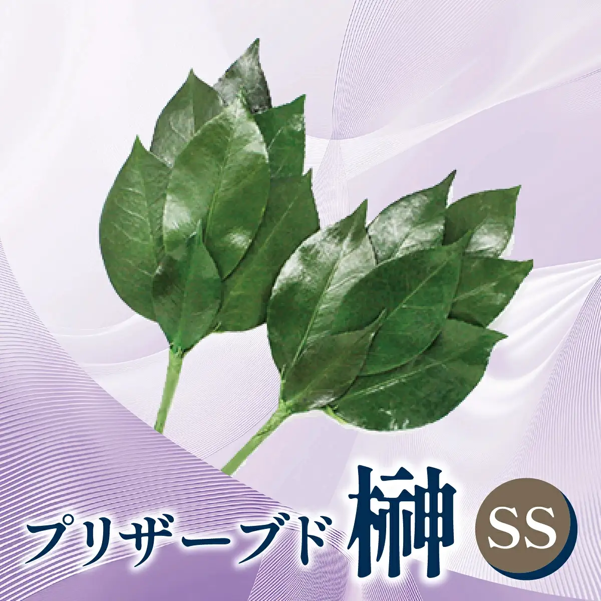 プリザーブド 榊 SSサイズ（1対 2束） プリザーブドフラワー