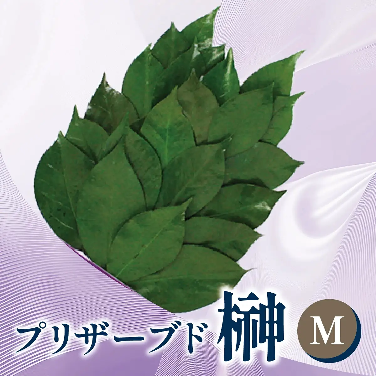 プリザーブド 榊 Mサイズ（1対 2束）プリザーブドフラワー