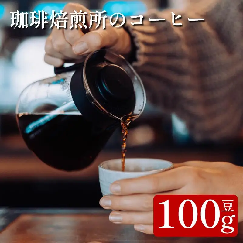 コーヒー 豆 100g スペシャリティコーヒー 珈琲 コーヒー コーヒー コーヒー