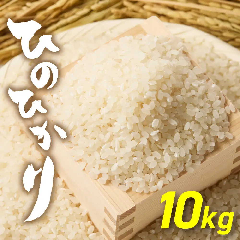 令和7年産 「ひのひかり」10kg【ほたるの里】_HA1787