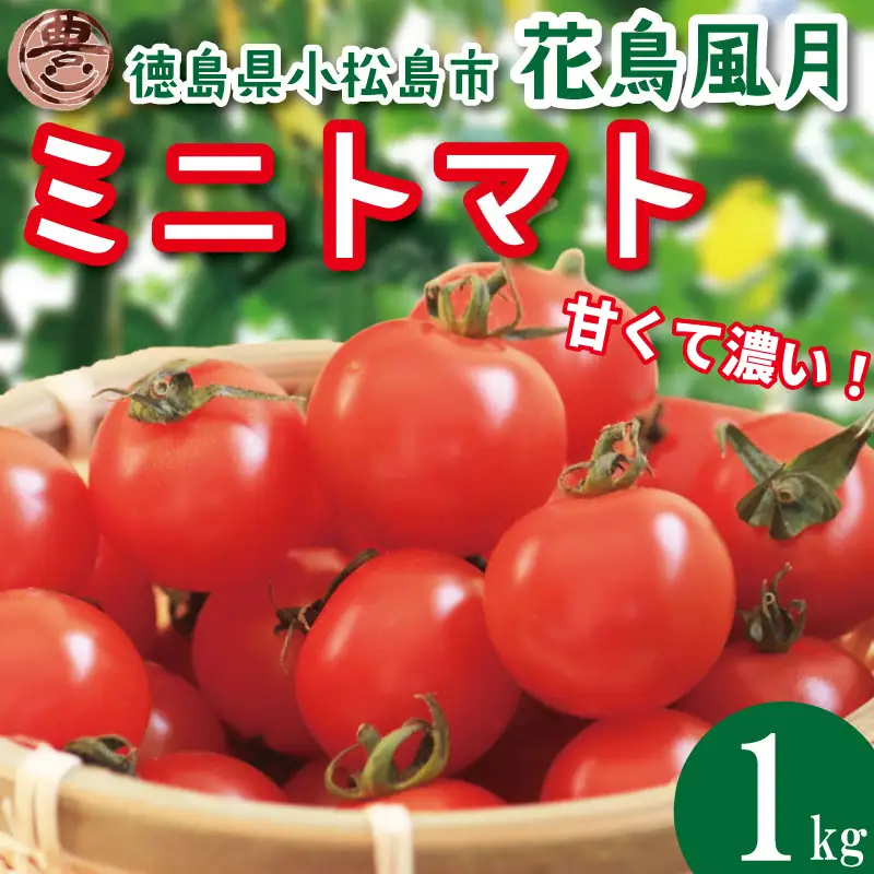 【2027年3月発送】 ミニトマト 花鳥風月 国産 1kg ミニトマト