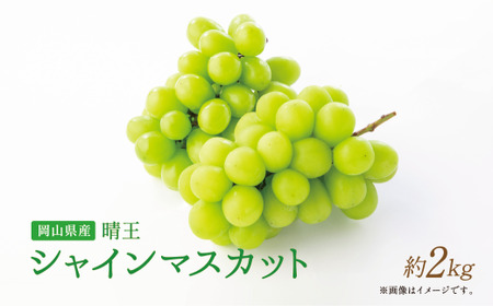 【岡山県産】晴王 シャインマスカット 約2.0kg以上 【2026年9月上旬～2026年11月下旬発送予定】 マスカット ぶどう ブドウ 葡萄