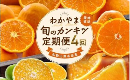 定期便【全4回/3・5・9・11月】和歌山旬のカンキツ定期便【S】（ご家庭用）※北海道・沖縄県・離島への配送不可 / 春の柑橘 初夏の柑橘 青切り 有田みかん 完熟有田みかん フルーツ くだもの 果物【ard-tkb905】