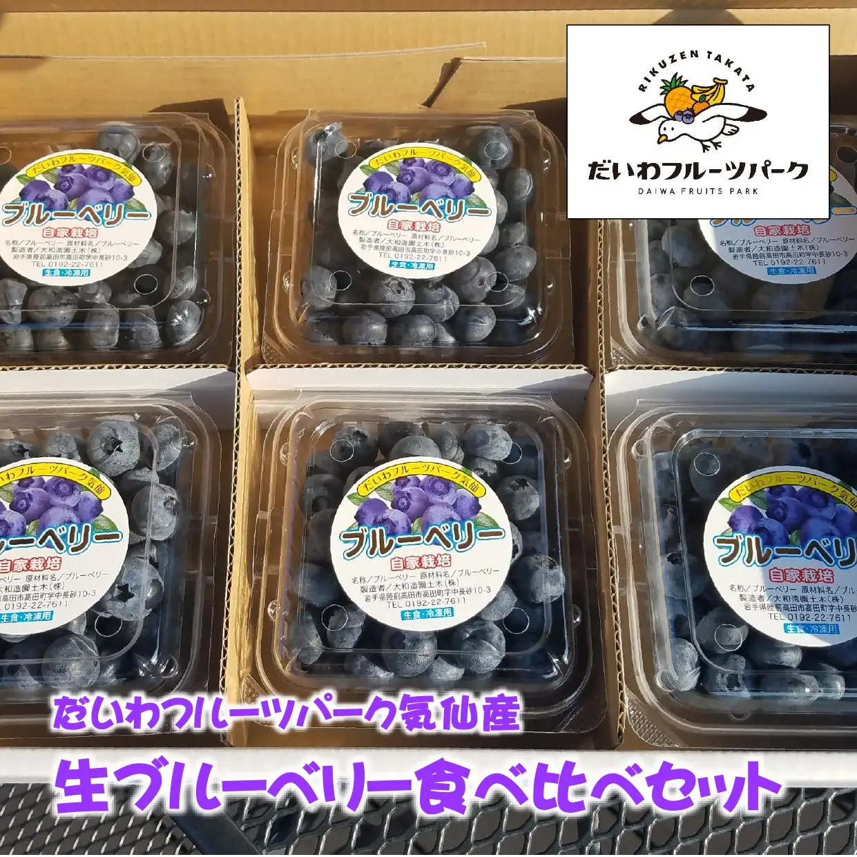 先行予約 生ブルーベリー 200g×6個 フルーツ ブルーベリー
