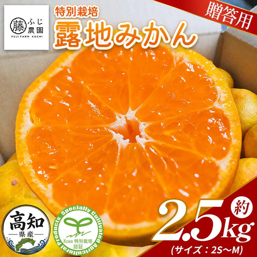 【特別栽培みかん】【2026年10月以降順次配送分】ふじ農園 贈答用 2.5kg 小玉 みかん fn-0009