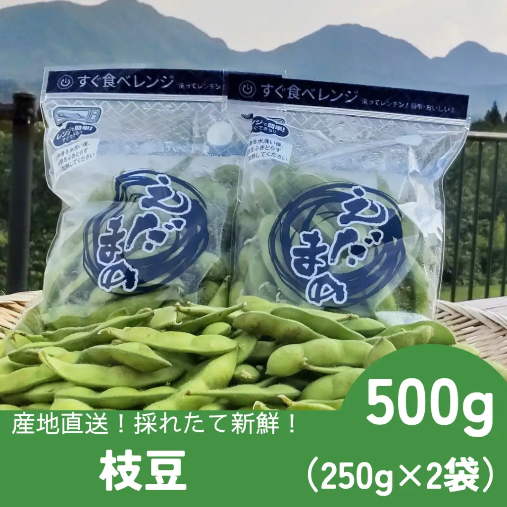 採れたて新鮮！！　高山村の枝豆　５００ｇ
