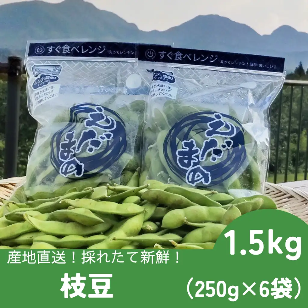 採れたて新鮮！！　高山村の枝豆　1.5kｇ