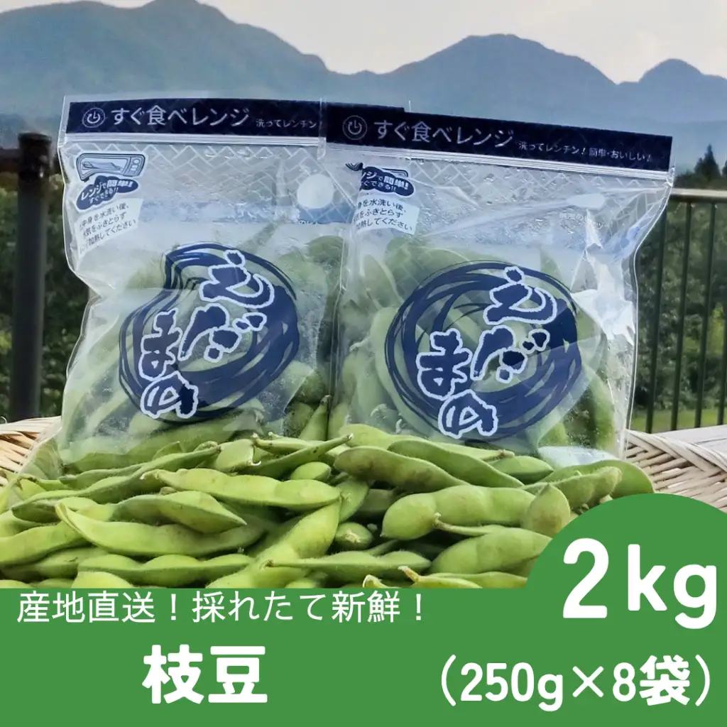 採れたて新鮮！！　高山村の枝豆　２ｋｇ