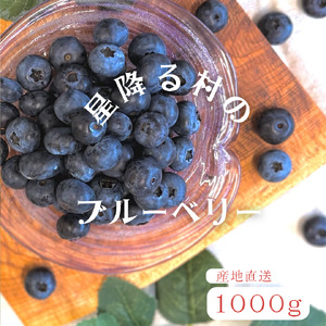 高山村産　生ブルーベリー　１０００ｇ