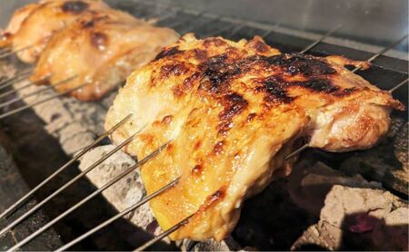 鶏肉 炭火焼 伊勢鶏 1kg 焼き鳥 鶏肉