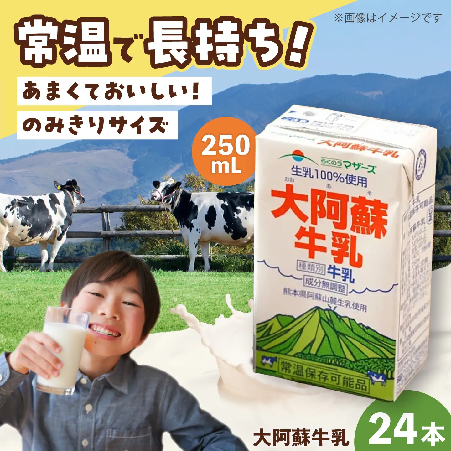 大阿蘇 牛乳 250ml24本入り 牛乳  BHBY011