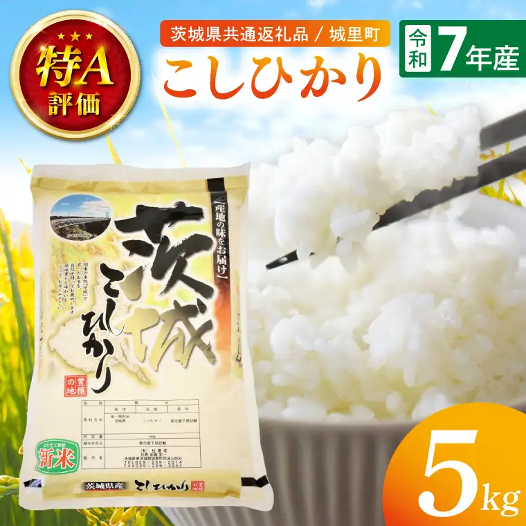 【数量限定】【令和7年産】茨城県産こしひかり 5kg（茨城県共通返礼品/城里町）（IH-6249）