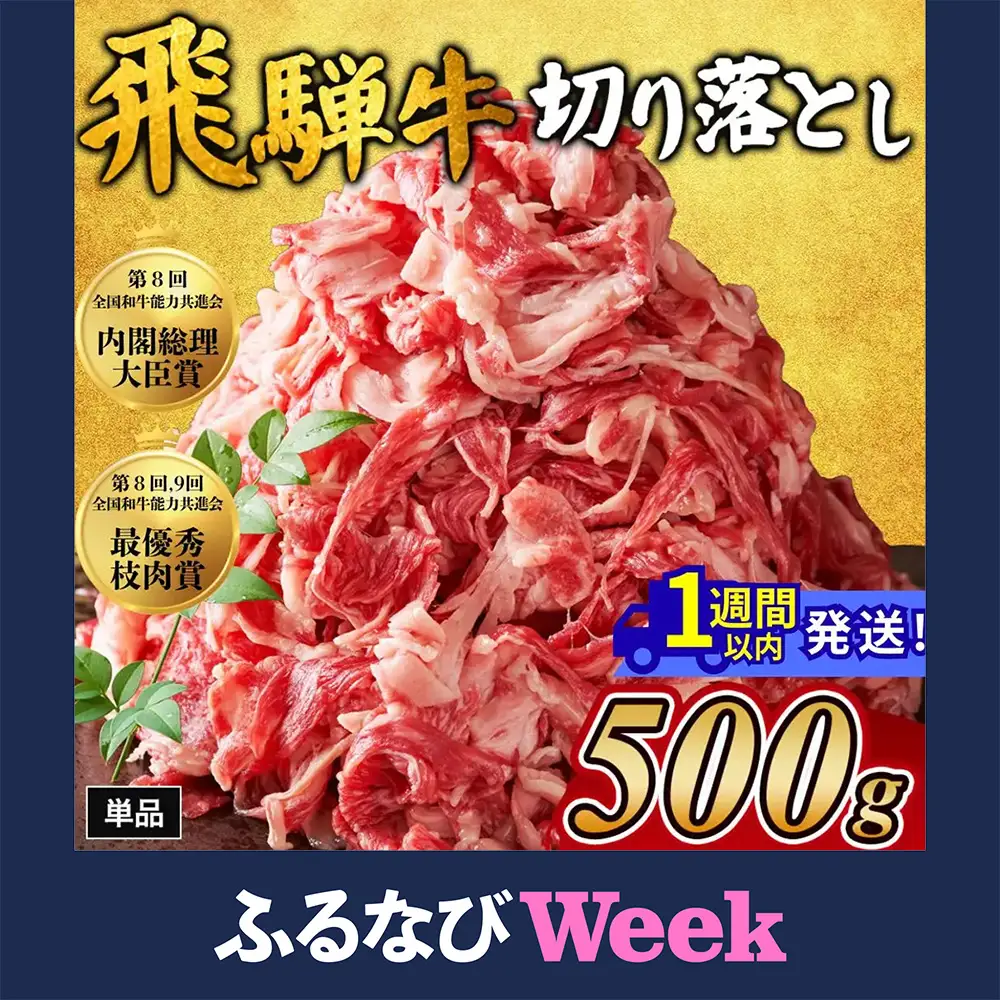 【ふるなびWEEK対象】飛騨牛切り落とし 500g｜牛肉 和牛