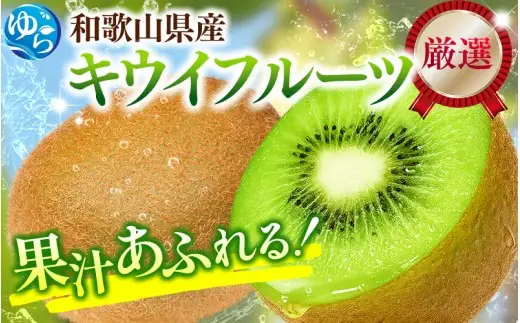 厳選 キウイフルーツ 2.5kg+250g（傷み補償分）/ キウイフルーツ 高級 和歌山 ※2026年11月中旬より2027年4月下旬頃順次発送予定 ※北海道・沖縄・離島への配送不可 【ikd505-p-2d5A】