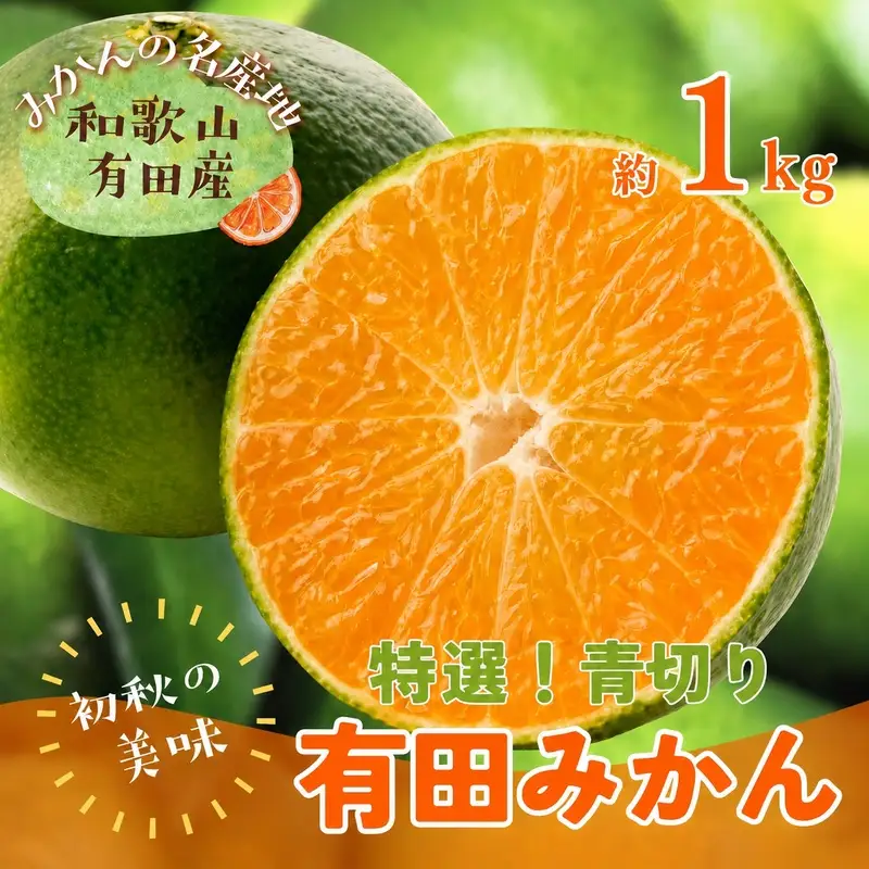 【先行予約】【初秋の美味】【農家直送】特選　青切り有田みかん　約1kg+200g(傷み補償分)【2026年9月中旬～10月上旬頃に順次発送予定】【ard232】