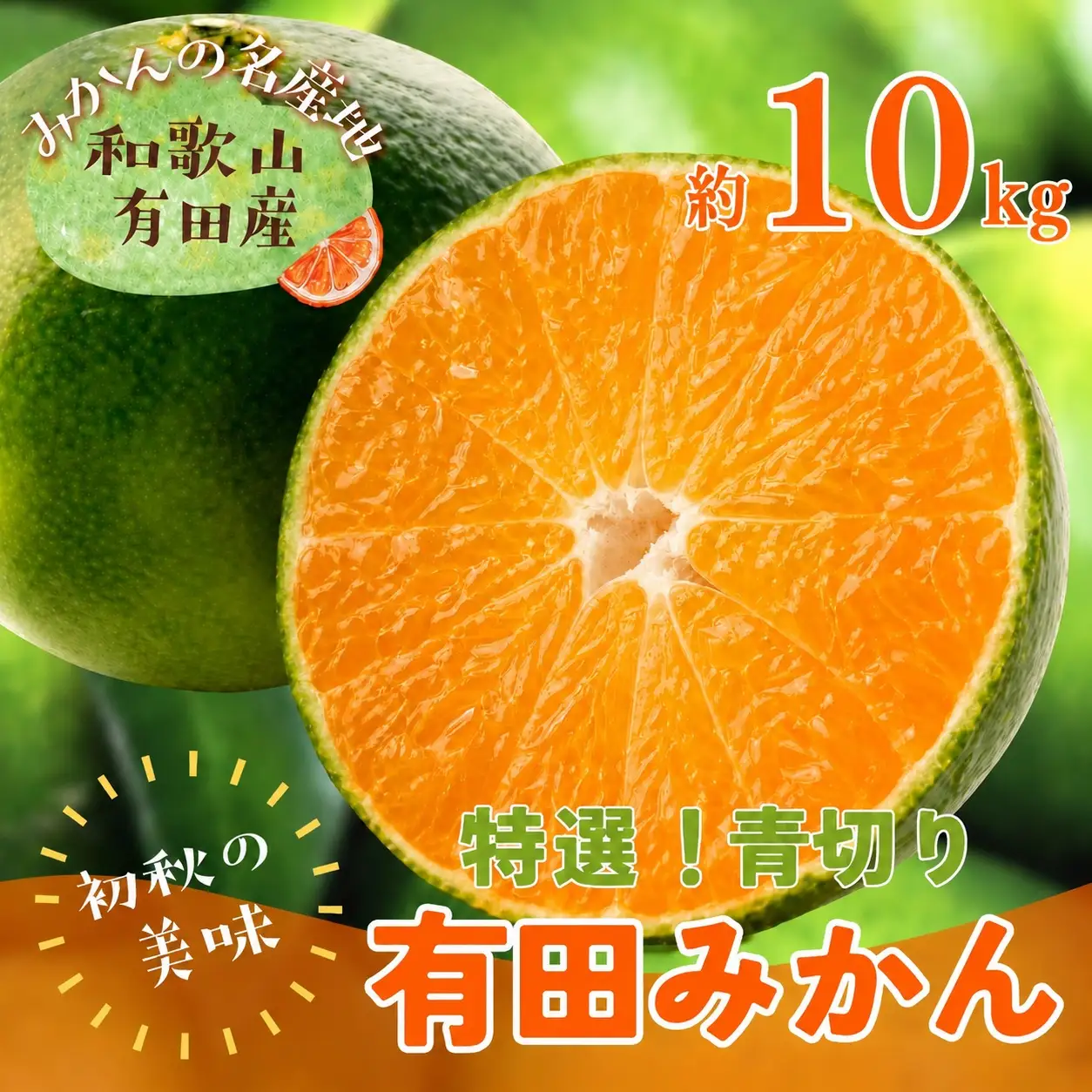 【先行予約】【初秋の美味】【農家直送】特選　青切り有田みかん　約10kg+200g(傷み補償分)　【2026年9月中旬～10月上旬頃に順次発送予定】【ard233A】