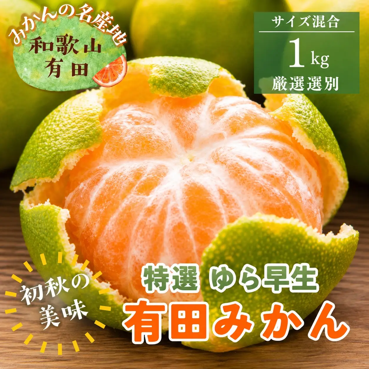 【初秋の美味】特選　ゆら早生有田みかん　約1kg+200g(傷み補償分)【2026年10月中旬～11月上旬頃に順次発送予定】【ard234】