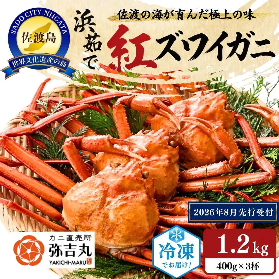 『冷凍』佐渡島直送！浜茹で紅ズワイガニ（1杯400g/3杯）ふるさと納税 ※2026年8月以降より順次発送