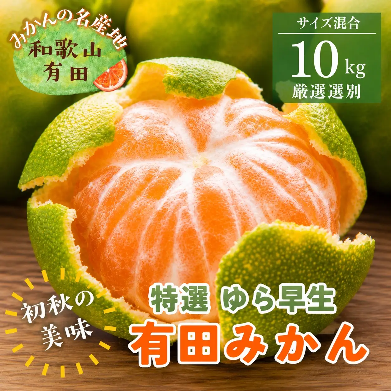 【初秋の美味】特選　ゆら早生有田みかん　約10kg+200g(傷み補償分)【2026年10月中旬～11月上旬頃に順次発送予定】【ard235A】