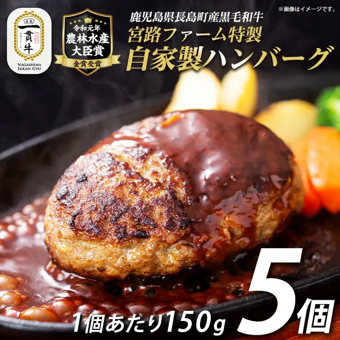 宮路ファームの自家製ハンバーグ5個 f-miyaji-7024