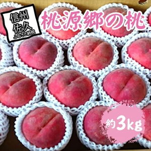 【期間限定】桃源郷の桃 約3kg（2026年8月1日～20日出荷／北海道・沖縄・離島は配送不可）完熟 もも モモ フルーツ 産地直送 旬彩 信州 長野 佐久市 品種指定なし 玉数指定なし