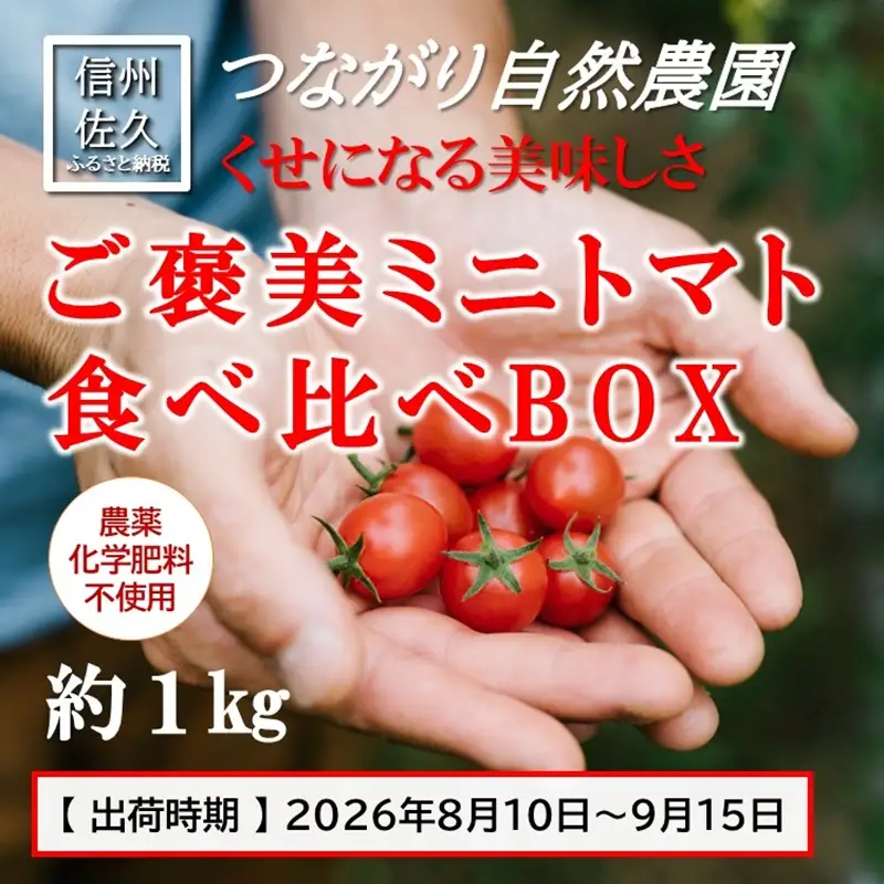 完熟ミニトマト 約1kg 『ご褒美ミニトマト食べ比べBOX』〈2026年8月10日～9月15日出荷／北海道・沖縄・離島は配送不可〉農薬・化学肥料不使用 トマト 高原野菜 無農薬 産地直送 新鮮 旬彩 期間限定 長野県 信州