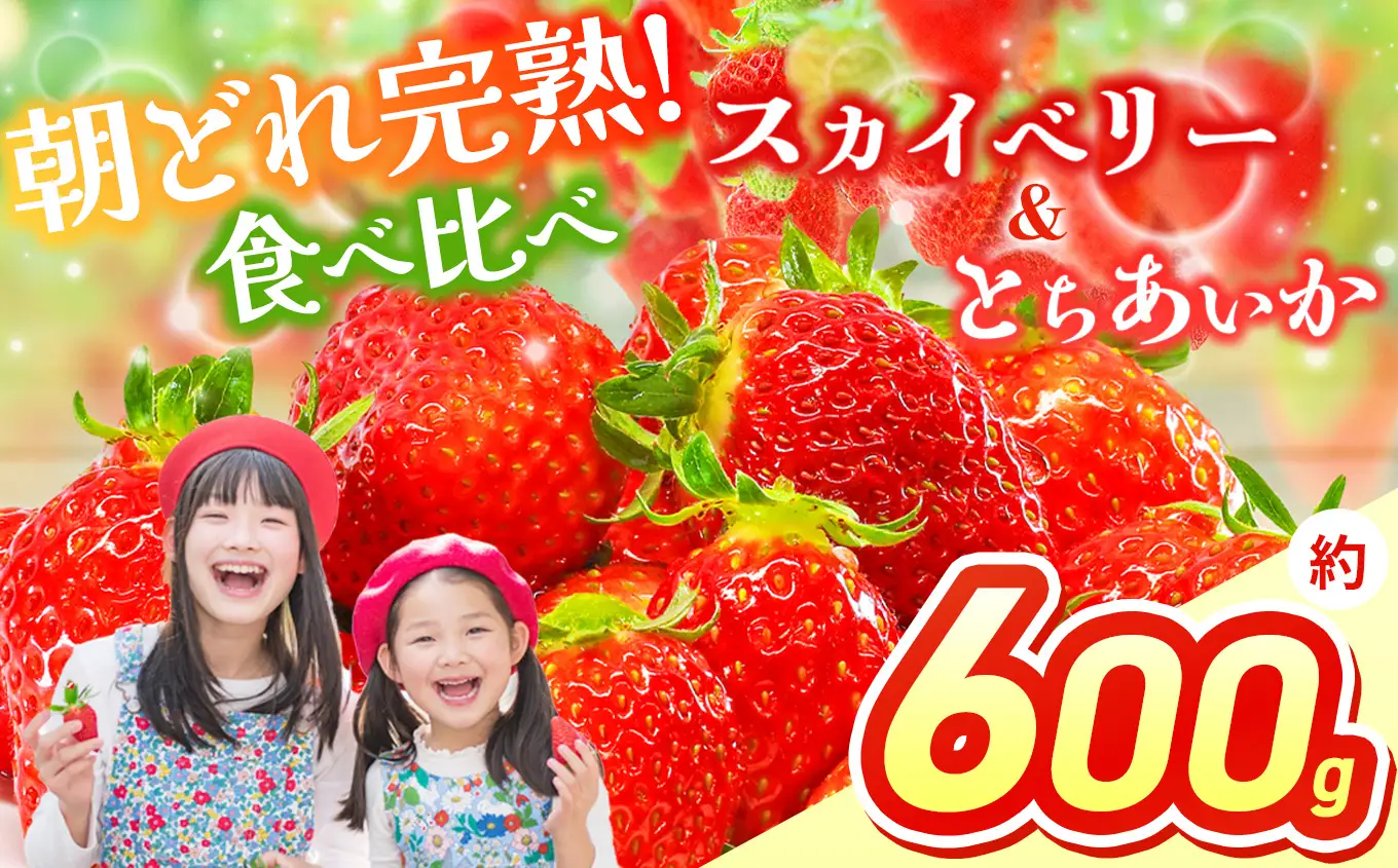【先行予約】スカイベリー＆とちあいか 食べ比べ 300g×2 | 栃木県 那珂川町 