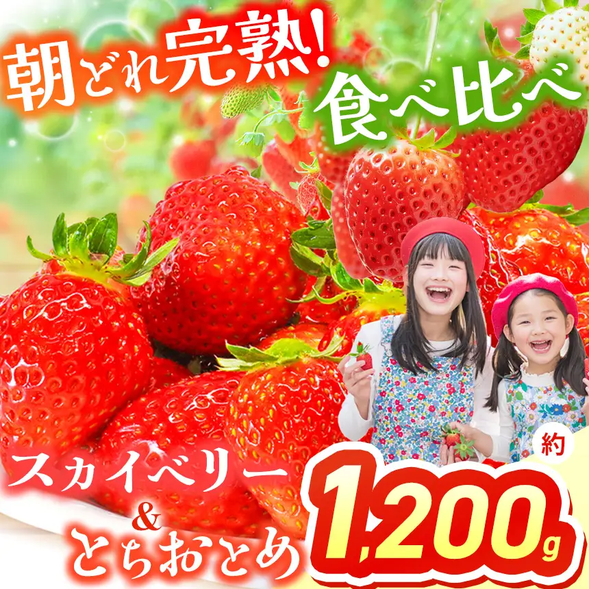 【先行予約】 スカイベリー＆とちおとめ 食べ比べ 300g×2×2箱 | 栃木県 那珂川町 送料無料