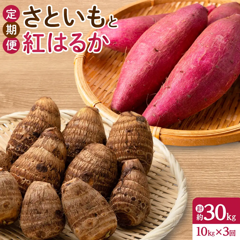 ＜定期便・全3回＞＜先行予約受付中！2026年10月上旬～2027年2月下旬発送予定＞さといもと紅はるかのセット(約10kg×3回・計約30kg) 【鳥取県 境港市】