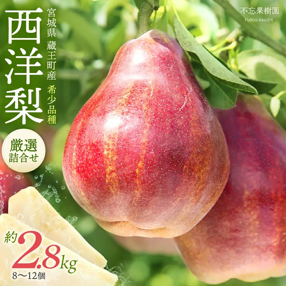 【先行予約】希少な洋梨「リーガルレッドコミス」 2.5～2.8kg（8～12個） 蔵王産　【04301-0184】