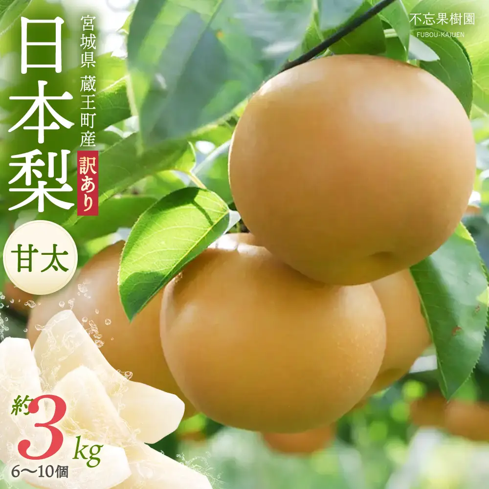 【先行予約】【訳あり】日本梨（甘太）3kg（大玉6～10玉入り） 蔵王産　【04301-0454】