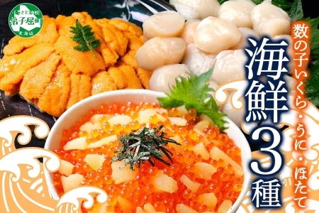 数の子いくら 醤油漬け 200g うに 200g ホタテ 300g 数の子 海鮮 3種セットいくら イクラ 雲丹 ウニ ほたて 帆立 貝柱 玉冷 貝 鮭いくら 冷凍 魚卵 海鮮丼 醤油漬け 手巻き寿司 つまみ おつまみ おかず ごはんのおとも 人気 グルメ 贅沢 豪華 ギフト 北海道 弟子屈町 3431