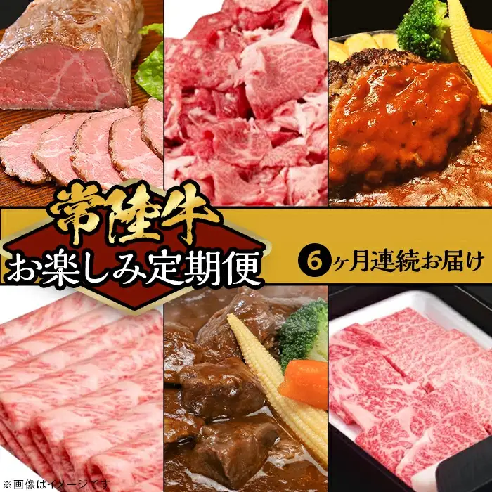 定期便 全6回 常陸牛 お楽しみ定期便