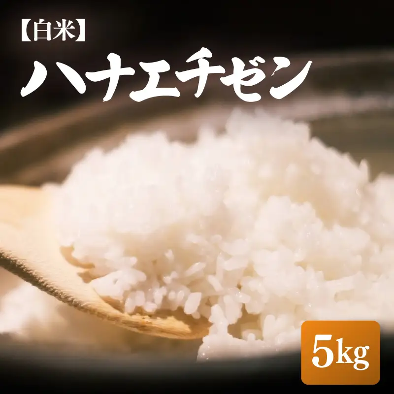 【先行予約】【令和8年産・新米】ハナエチゼン 5kg【白米】【2026年10月中旬以降順次】【 華越前 人気品種 玄米 福井県ブランド】 [e26-a014_01]