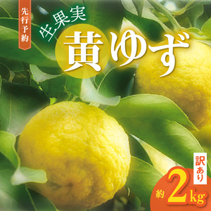 訳あり 黄ゆず 生果実 約2kg_MM0107