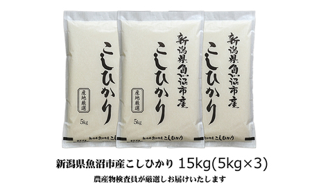 【令和8年産 先行予約】農産物検査員お奨め 魚沼産こしひかり（精米）15kg（5kg×3）米 コメ こめ お米 おこめ 白米 コシヒカリ 新潟県産 人気 お取り寄せ