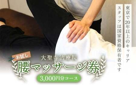 【お試し】腰マッサージ券（3,000円分コース） 大聖寺治療院 治療 整体 疲労回復 プレゼント 癒し F6P-2800