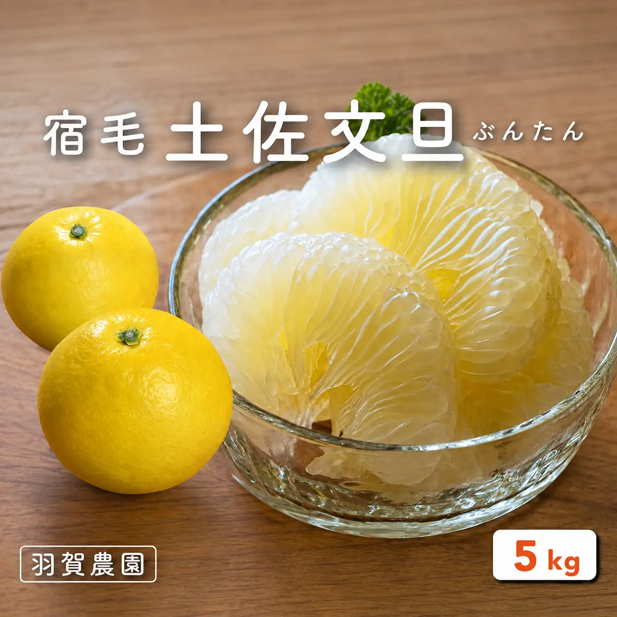 羽賀農園の土佐文旦 10kg家庭用（小玉） 土佐文旦